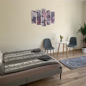 Apartman Világos, Kellemes Lakás, Jó Közlekedéssel