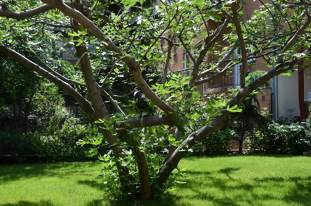 Fig Tree House Budapest Hungary